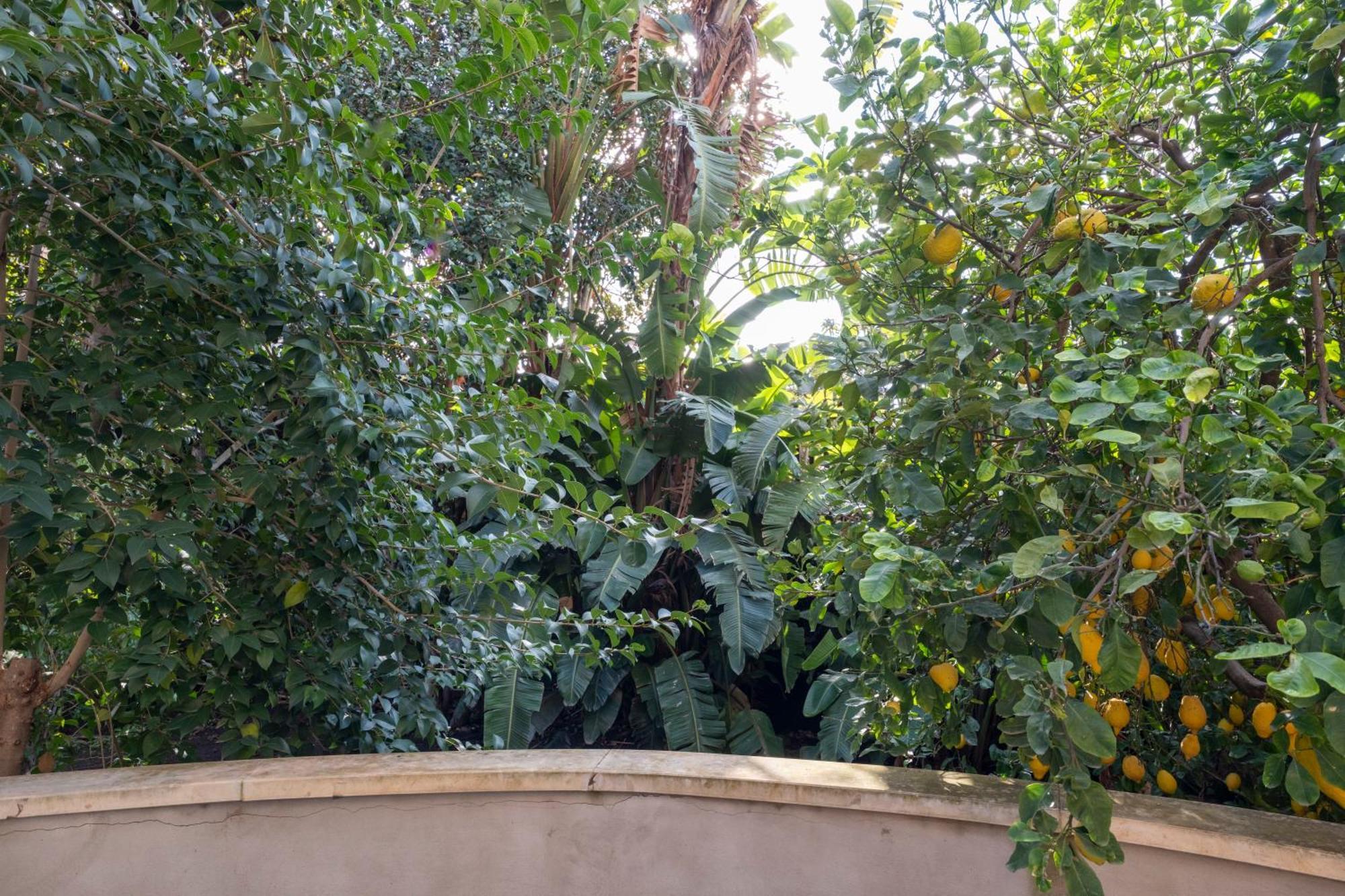 La Corte Dei Nespoli Acireale Exterior foto